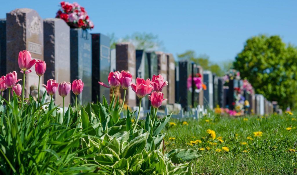 jardin des souvenirs